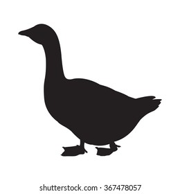Vector illustration of a goose isolated on white background. Goose logo, symbol, icon, graphic