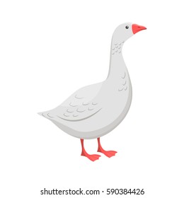 Vector illustration of a goose on white background. Farm animals topic.