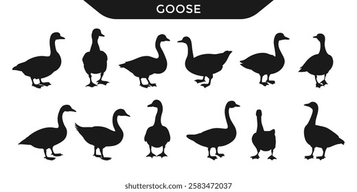 Vector illustration of goose silhouettes in various poses.