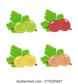 Vector illustration of gooseberries of different colors with leaves. Flat design.