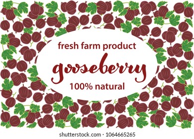 vector illustration of gooseberry and leaf design with lettering gooseberry background white and berry and text fresh farm product 100% natural for you EPS10