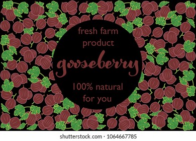 vector illustration of gooseberry and leaf design with lettering gooseberry background black and berry and text fresh farm product 100% natural for you EPS10