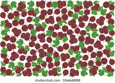 vector illustration of gooseberry and leaf design background white and berry EPS10