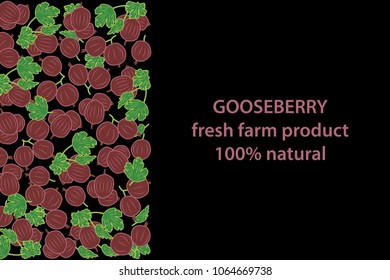 vector illustration of gooseberry and leaf design background black and berry and text fresh farm product 100% natural EPS10