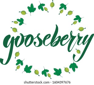 Vector illustration of Gooseberry text for logotype, label, menu, banner, magazine, poster, decoration, restaurant. Gooseberry calligraphy background. Gooseberry lettering. EPS 10.