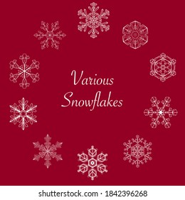 Vector illustration of gorgeous and delicate snowflakes