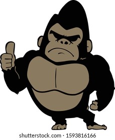 Vector illustration of gorilla doing thumbs up on white background. Personified gorilla character.