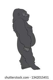 vector illustration of a gorilla, drawing color, vector, white background
