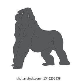 vector illustration of a gorilla, drawing color, vector, white background