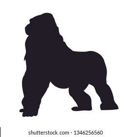 vector illustration of a gorilla, drawing silhouette, vector, white background