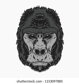 Vector illustration, gorilla head on a white background. Can be used for printing on T-shirts, flyers, etc. Vector illustration