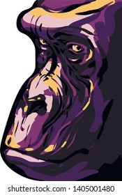 Vector illustration, gorilla head on a white background 