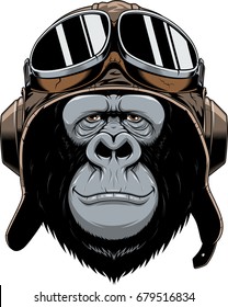 Vector illustration, a gorilla head in a pilot's helmet, on white background