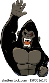 Vector illustration of a gorilla raising hands on white background. Personified gorilla character.