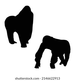 Vector illustration of gorilla silhouette