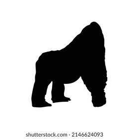 Vector illustration of gorilla silhouette