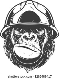 Vector illustration, gorilla wearing a building helmet, on a white background.