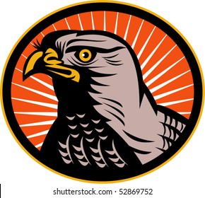 vector illustration of a Goshawk head side view set inside an oval with sunburst in background