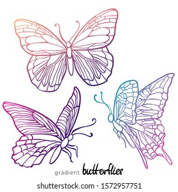 Vector illustration of gradient butterflies. Hand drawn decorative butterflies isolated on white background. 