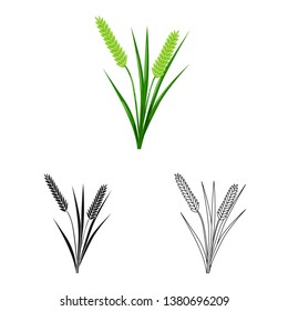 Vector illustration of grain and rice  logo. Collection of grain and garden stock vector illustration.