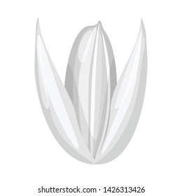 Vector illustration of grain and rice logo. Collection of grain and seed vector icon for stock.