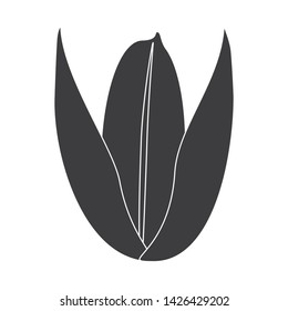 Vector illustration of grain and rice logo. Set of grain and seed stock vector illustration.