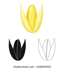 Vector illustration of grain and rice symbol. Collection of grain and seed stock vector illustration.