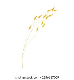 Vector illustration of granola oatmeal drain. Dry yellow branch of barley on a thin stalk. Oat seeds in the field. Wheat. Illustration for the cereal. Isolated on a white background. Oat milk