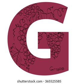 Vector illustration of grape berries  inside of letter G. Limited colors graphic. Hand drawing.