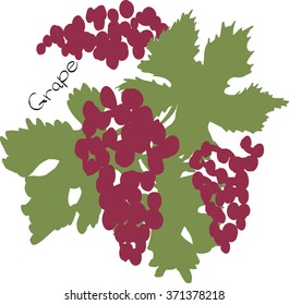 Vector illustration of grape berries  with leaves. Limited colors graphic: black, violet, green. Hand drawing. Suitable for t-shirt printing.