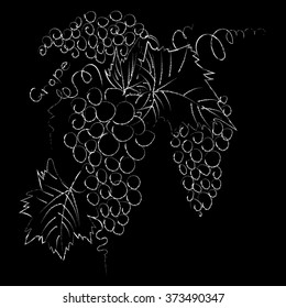 Vector illustration of grape berries  with leaves. black and white graphics Linear, the effect of chalk on a blackboard. Hand drawing. Suitable for t-shirt printing.Good for signboards.