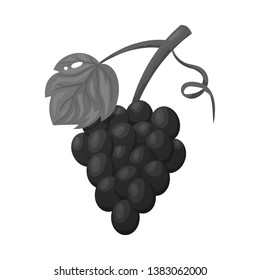 Vector illustration of grape and bunch logo. Set of grape and fruit vector icon for stock.
