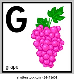 Alphabet Letter G Coloring Grapes Flashcards Stock Vector (Royalty Free ...