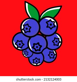 Vector illustration of grape fruit on red background 
