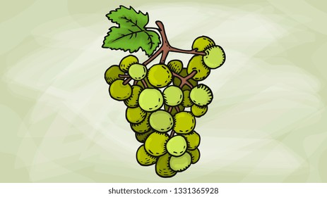 Vector Illustration of Grape Fruit Sketch Style