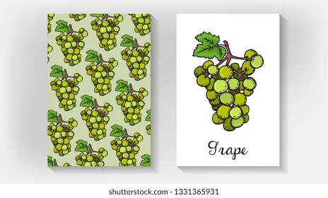 Vector Illustration of Grape Fruit Sketch Style
