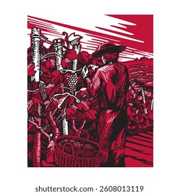 vector illustration of grape harvest. Grape picker. basket, vineyard, engraving.Wine label.
