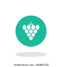 Vector illustration of grape icon