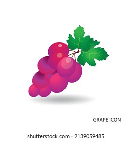 vector illustration grape icon desing template 