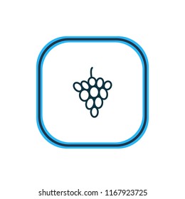 Vector illustration of grape icon line. Beautiful dessert element also can be used as vineyard icon element.