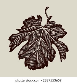 vector illustration of grape leaves with engraving technique, antique vintage look