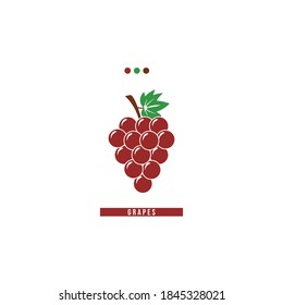 Vector Illustration Grape with Leaves on White Background. Red Grape and Color Palettes