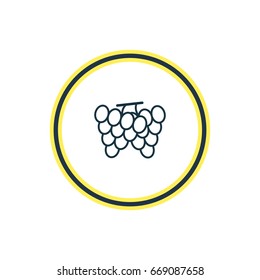 Vector Illustration Of Grape Outline. Beautiful Food Element Also Can Be Used As Vineyard  Element.