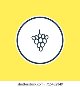 Vector Illustration Of Grape Outline. Beautiful Fruits Element Also Can Be Used As Vineyard Element.
