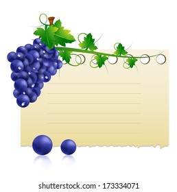 Vector illustration of grape and paper banner. 