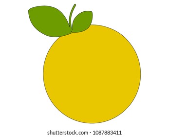 Vector illustration of a Grapefruit