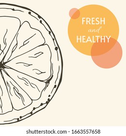 Vector illustration of grapefruit. Hand drawing. The image of juicy tropical fruits creates a summer mood. Great for decorating menus and healthy foods.