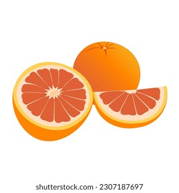 ilustración vectorial de un pomelo. Líneas de arte fruta tropical, doodle realista