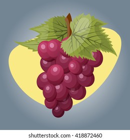 Vector illustration of grapes
