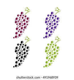Vector illustration of grapes